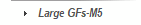 Large GFs-M5